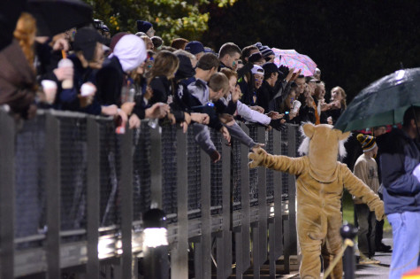 WIldcat spirit was on full display at the GV Soccer game on Friday. Courtesy of Olivia Cuevas '16