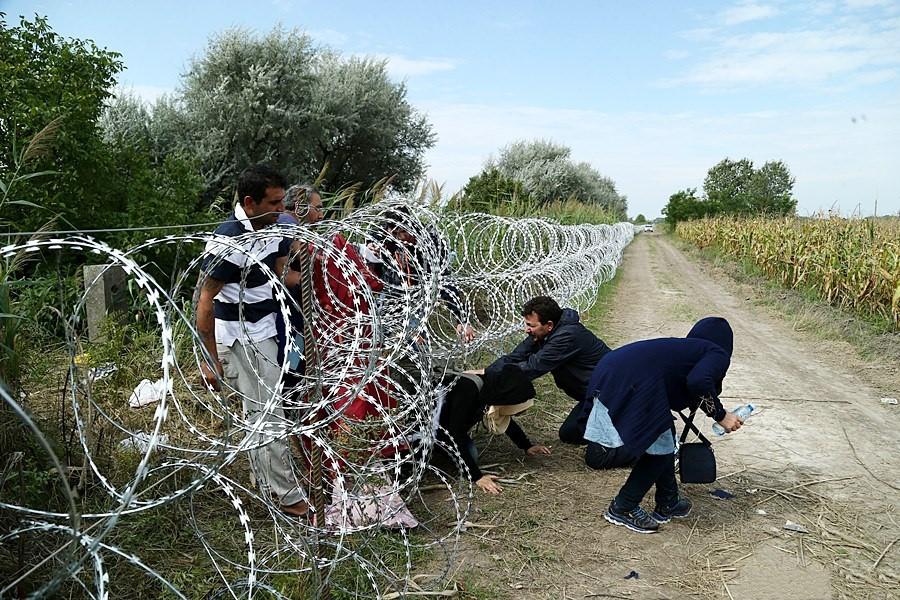 Syrian refugees crossing the border into Hungary 