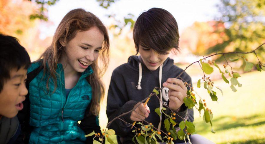 Seventh grade students in science class. 