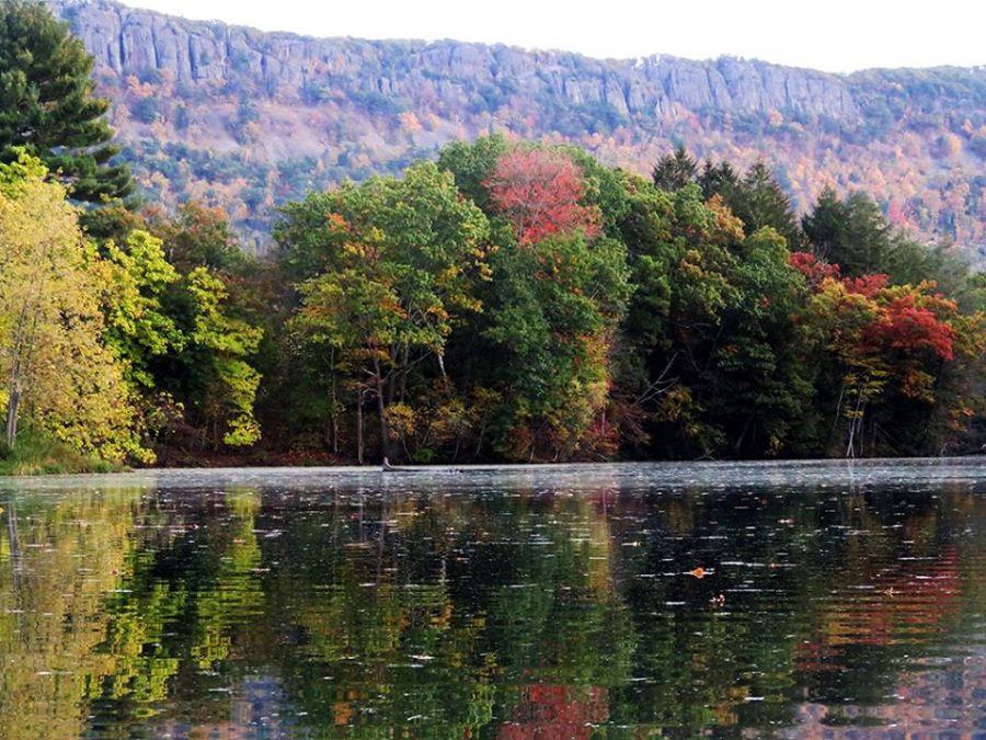 Would You Swim in the Town Pond? Should You?