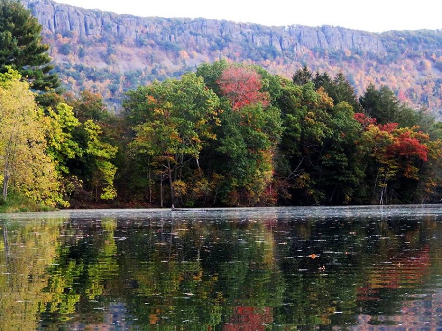 Would You Swim in the Town Pond? Should You?