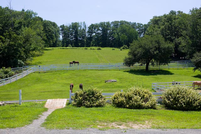 Fuller Horse Facility. Credit: Facebook.