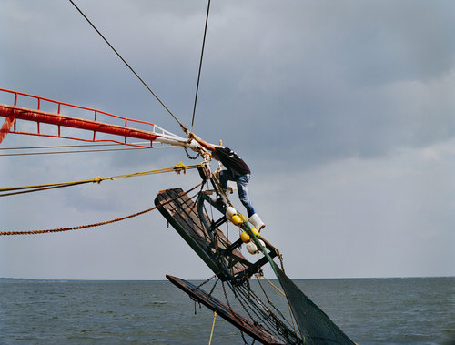 Shrimping, Mount Pleasant, South Carolina. Credit: Holly Lynton