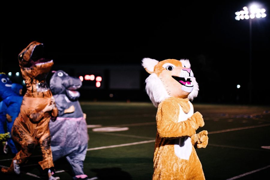 Wildest Cats Kick Off Spirit Season