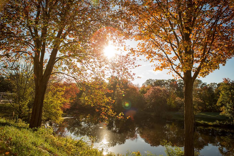 Apple+Cider+Donuts+and+Crunchy+Leaves%3A+How+to+Enjoy+a+Northeast+Fall