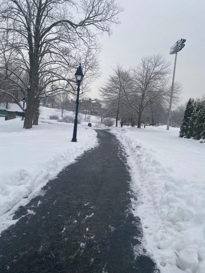 Credit: Anna Richardson '21