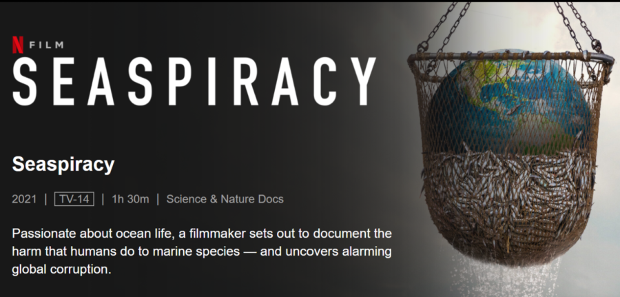 "Seaspiracy" Shines Light on Dark, Dangerous Commercial Fishing Industry