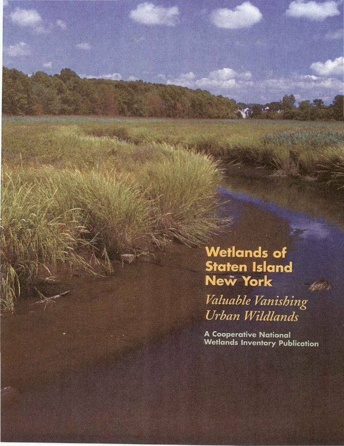 The+Often+Overlooked+Importance+of+Wetlands