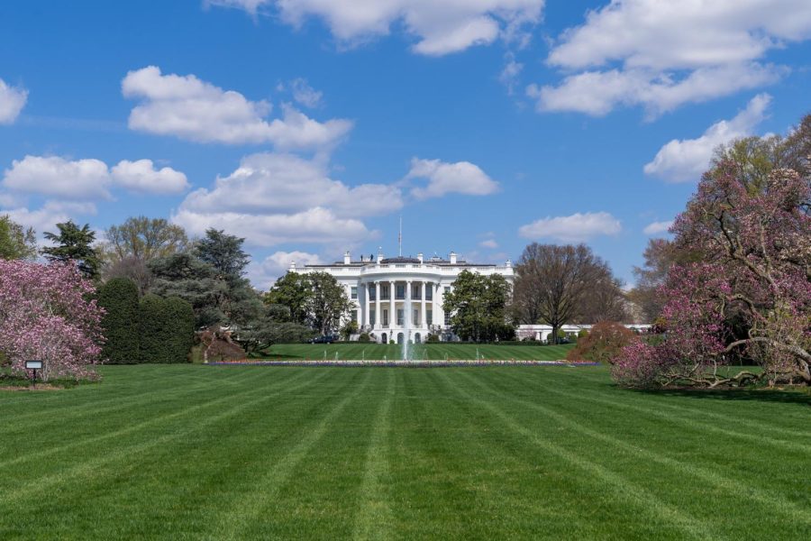 Presidential Election Resonates with International Students