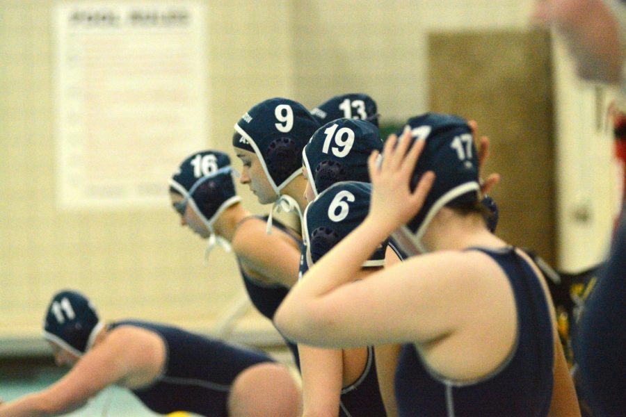 Girls Water Polo's Impressive Season
